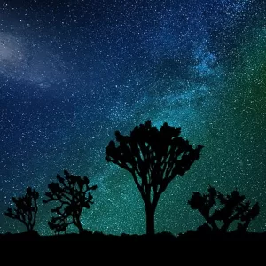 track-artwork